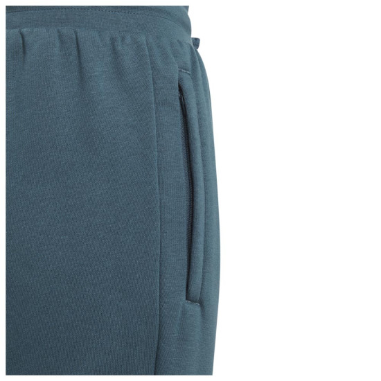 Adidas Παιδικό παντελόνι φόρμας Adicolor Pants